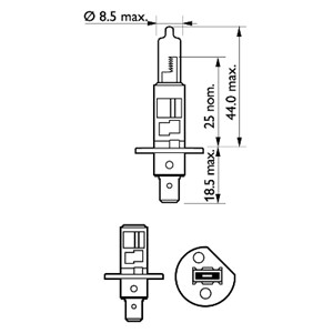 Halogenlampe PHILIPS LongLife EcoVision H1 P14,5s