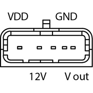 EGR-Ventil