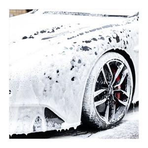 Car Gods Arctic Storm Snow Foam 0.5 L, Universal